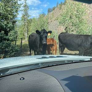 The locals were curious and friendly.