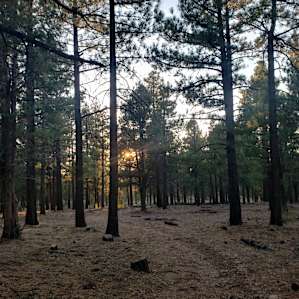 hiking trail