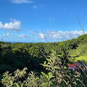 From the top of the road