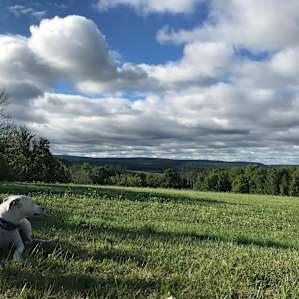 Endless Mountain Getaways