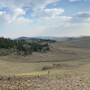 TLC Acres