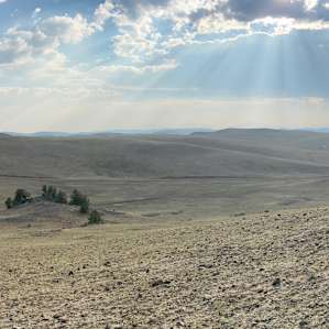 TLC Acres