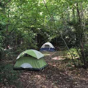 Car Camp In The Woods Near A Lake