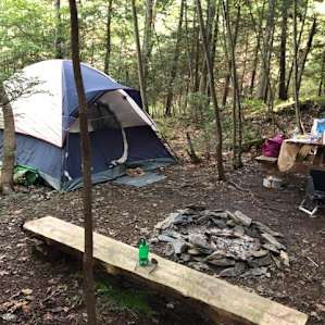 Car Camp In The Woods Near A Lake