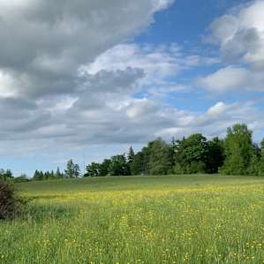 Regenerative Farm Stay: Rose Field