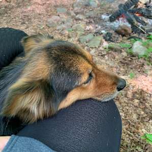 Regenerative Farm Stay: Rose Field
