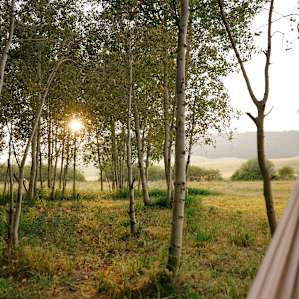 You can't really beat a hammock sunset in the Summer!