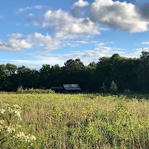 Chappel Hill Tree Farm