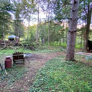 Tiny Forest