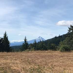 Beautiful vista of Mount Hood