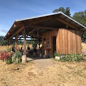 Fantastic communal kitchen, shower, and hang out spot with all the amenities.