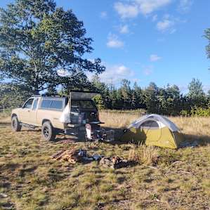 Blueberry Land Camping