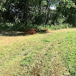 Site 3 at the end of a field
