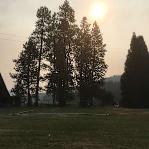 East view from the yurt in the morning