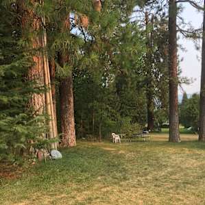 Tent site # 1