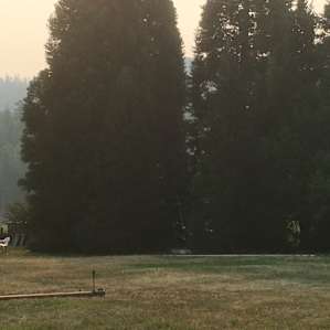 View from the yurt