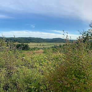 Evening views, pre-rain