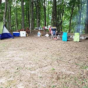 McIntosh Pines