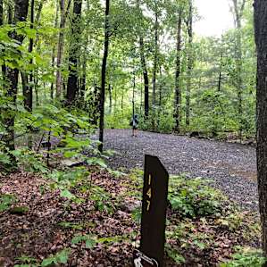 some of the pet loop sites are like this: wooden and private. This is 147
