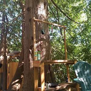The Cabin at Ferngully
