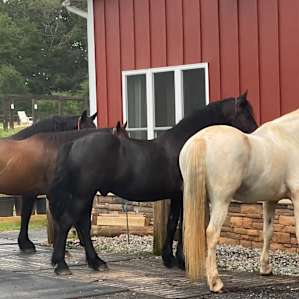 Upscale farm for your RV Resort