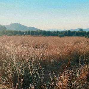 Lakeport Walnut Grove