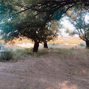 Lakeport Walnut Grove