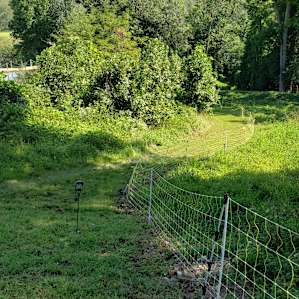 Riverside Primitive Tent Sites