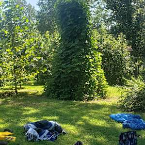 Riverside Primitive Tent Sites