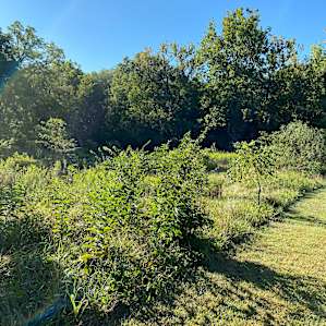 Trail on the property.