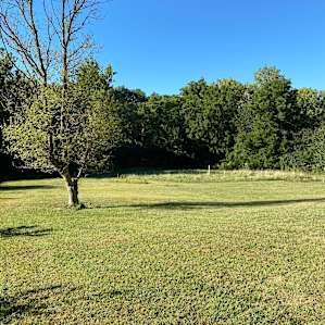 Open yard at the back of the house.
