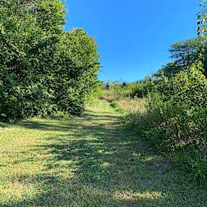 Trail on the property.