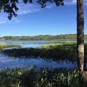 Lazy Lagoon