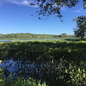 Lazy Lagoon