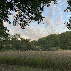 Prairie behind campsite to watch the sun come up