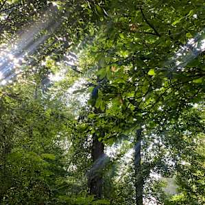 Summer Shoals Retreat & Campground