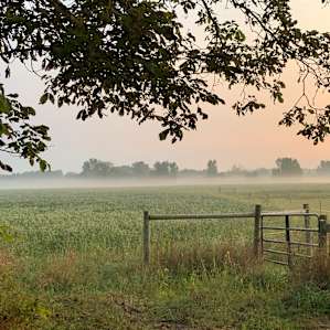 Primitive Site @ Quiet Horse Farm