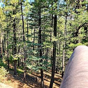 Quiet Camp in the Rocky Mountains