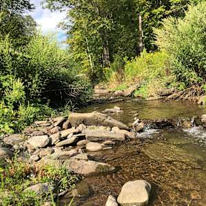 View of the river nearby