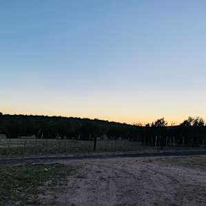 Sunset Ranch Performance Horses