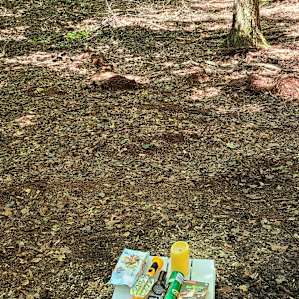 Nice quiet campsite