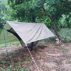 Trying to stay dry in the rain!