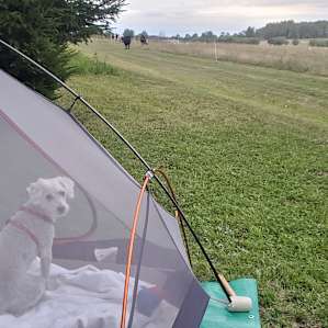 Pitch a Tent or Park
