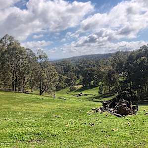 100-acre Woods - Opera 3