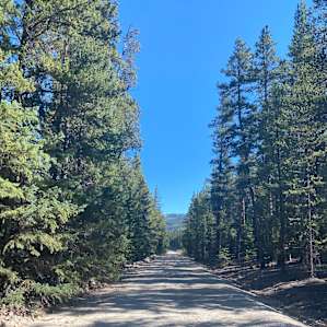 road up from Tin Cup