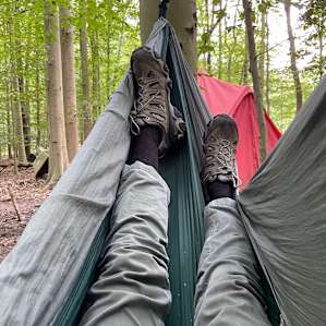 The Wonder of the Woods