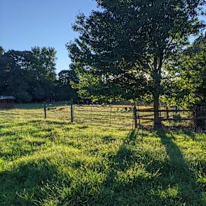 Pitch your tent in the Pasture