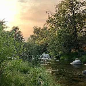 River Site Spider Camp #1