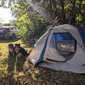 Easily accessible tent site with shaded picnic tables to the right (not pictured)