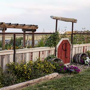 This is such an incredible garden!